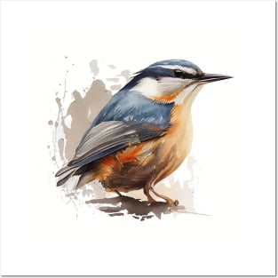 Nuthatch Bird On A Tree Branch 7.0 Posters and Art